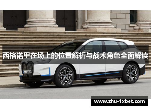 西格诺里在场上的位置解析与战术角色全面解读