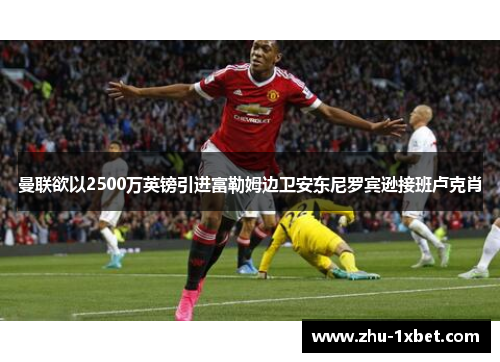 曼联欲以2500万英镑引进富勒姆边卫安东尼罗宾逊接班卢克肖